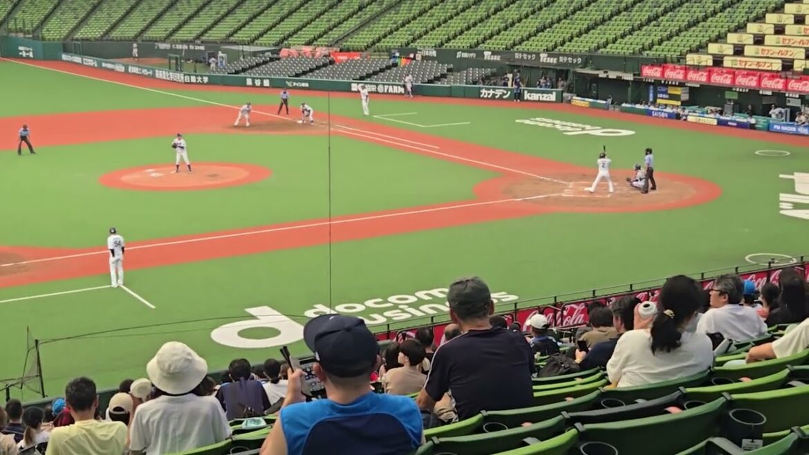 20240810　オープン戦　立正大学　細窪 優良　西武　岡田雅利　中飛