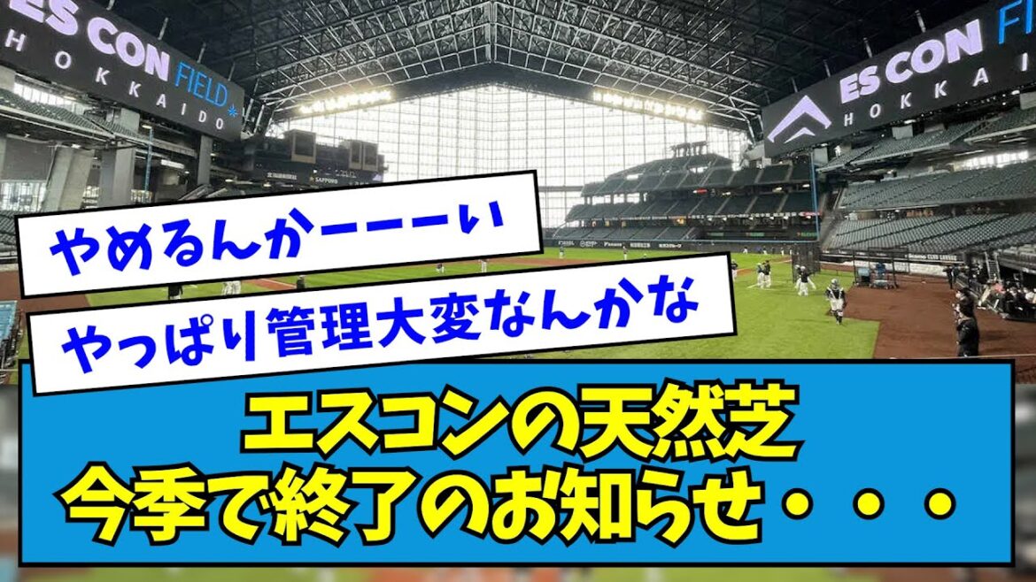 【悲報?】エスコンの天然芝、今季で終了のお知らせ・・・【なんJ反応】 【悲報?】エスコンの天然芝、今季で終了のお知らせ・・・【なんJ反応】