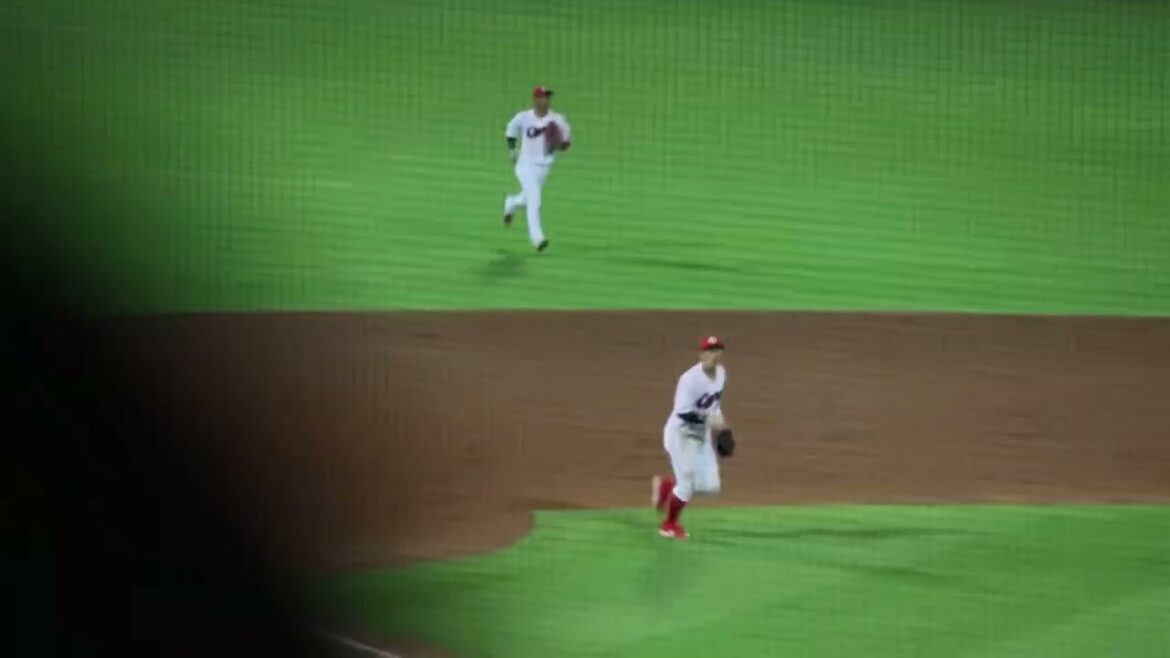 【熱盛】カープ矢野のファインプレーで追加点を防ぐ！赤忍者が今日も魅せた！！【広島東洋カープ】