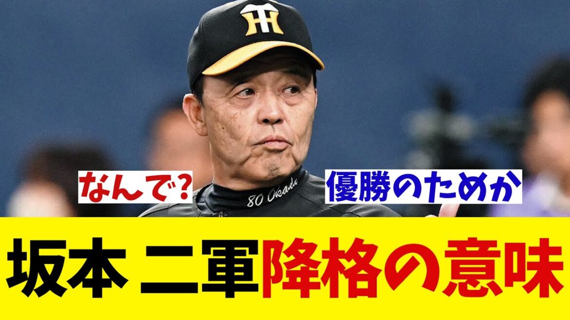 阪神・坂本誠志郎　二軍降格の意味とは・・・【野球情報】【2ch 5ch】【なんJ なんG反応】【野球スレ】