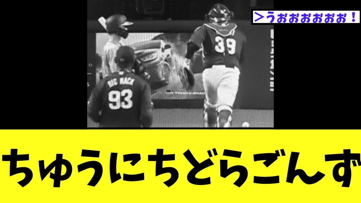 【悲報】中日vs阪神　一生八百長