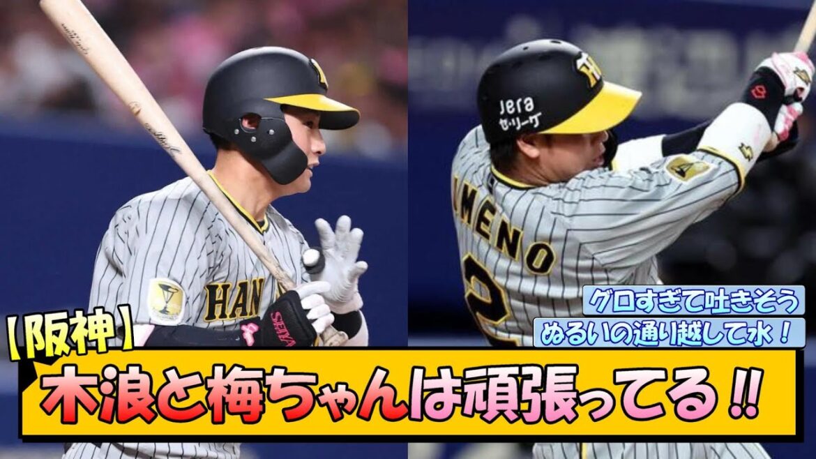 【阪神】木浪と梅ちゃんは頑張ってる‼【なんJ/2ch/5ch/ネット 反応 まとめ/阪神タイガース/岡田監督/木浪聖也/梅野隆太郎】