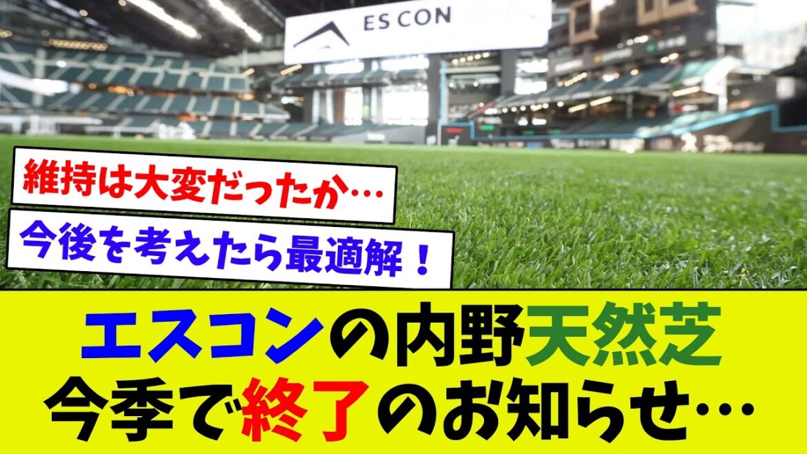 【悲報なのか！？】エスコンの内野天然芝が人工芝に…　来年からメジャーで使用の人工芝へ入れ替え