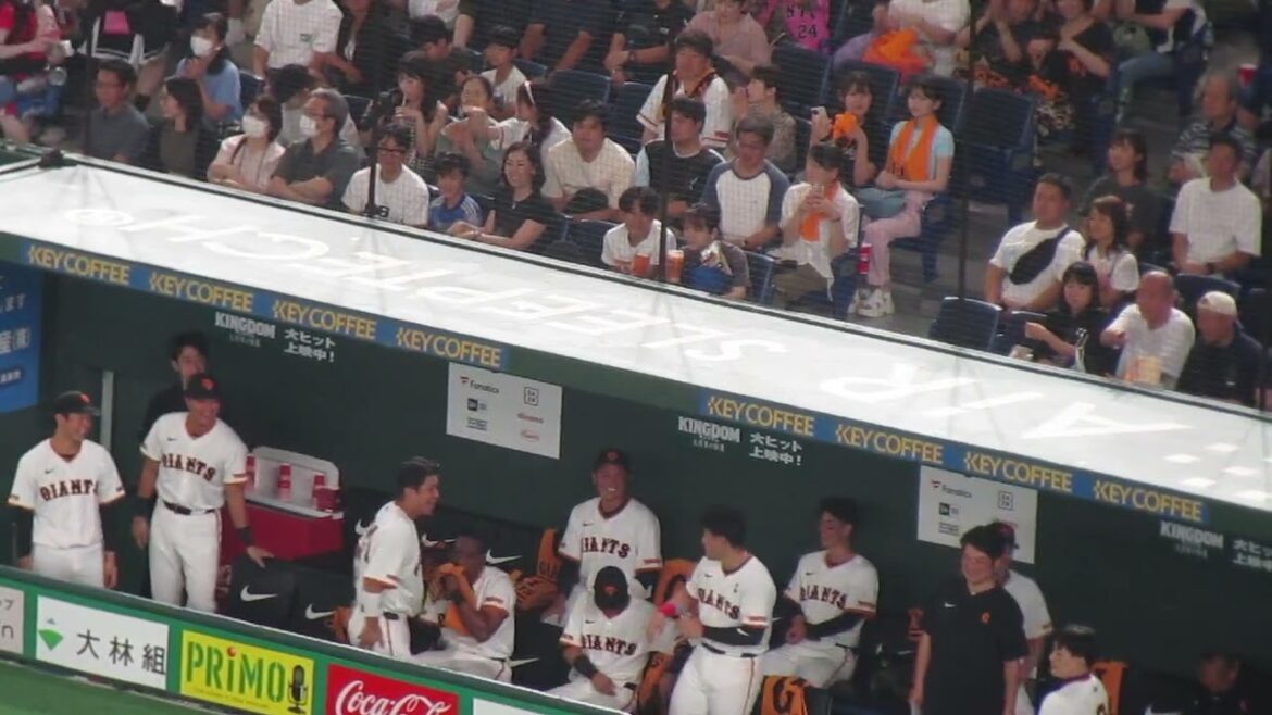 【ジャイアンツベンチ】大城卓三のホームインのリプレイ判定がセーフで盛り上がりまくる岡本和真など選手たち（ 読売ジャイアンツ対横浜DeNAベイスターズ 2024年7月13日）