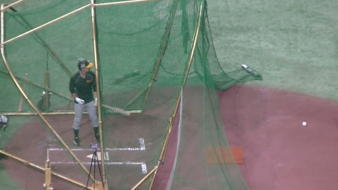 タイガース熊谷敬宥のフリーバッティング（2024年7月16日読売ジャイアンツ対 阪神タイガース）