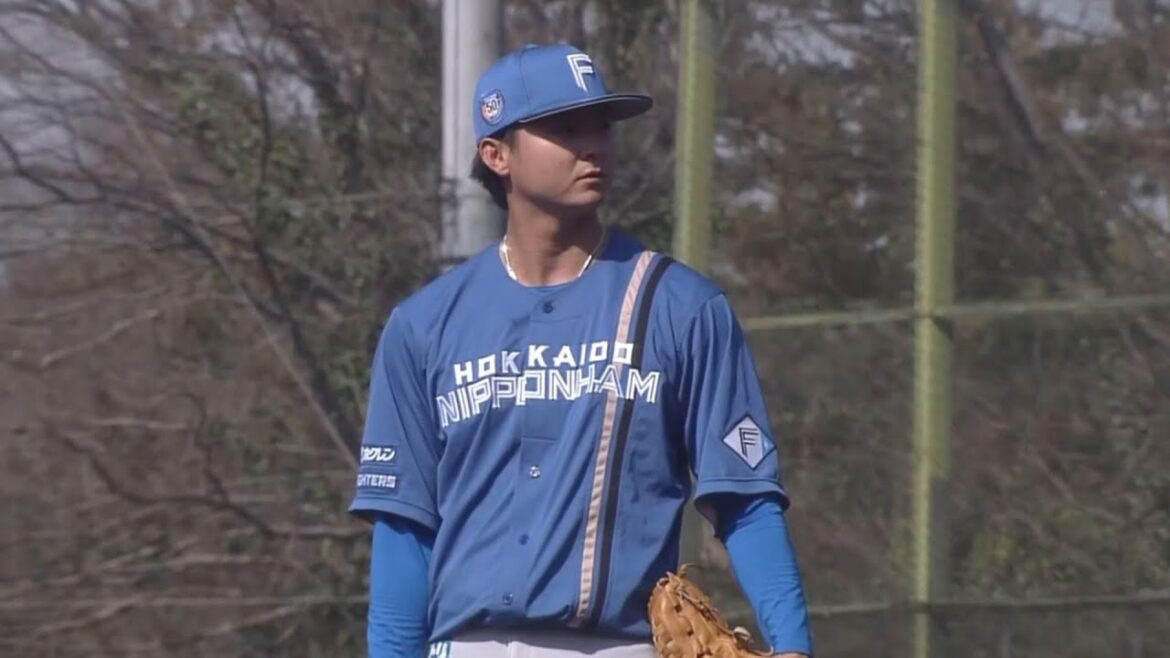 【ファーム】田中瑛斗 奪三振集【北海道日本ハムファイターズ】
