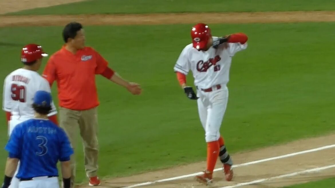 矢野雅哉、横浜中川虎から死球を受ける！痛みをこらえすぐさま一塁へ向かうジェントルマンな所作も心配そうな新井監督！2024年8月12日