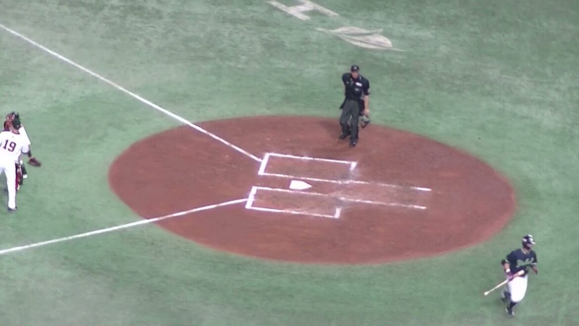 青木宣親 初球からしっかりお仕事の犠牲フライ（2024年4月30日 読売ジャイアンツ対 ヤクルトスワローズ）