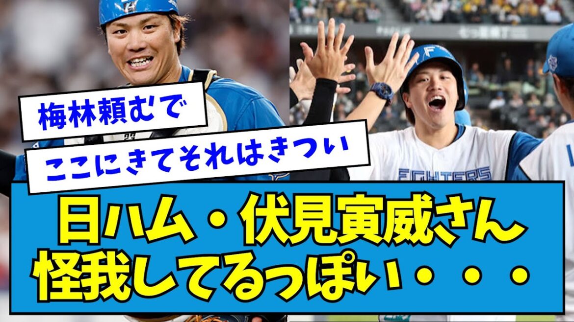 【悲報】日ハム・伏見寅威さん、怪我してるっぽい・・・【なんJ反応】 【悲報】日ハム・伏見寅威さん、怪我してるっぽい・・・【なんJ反応】
