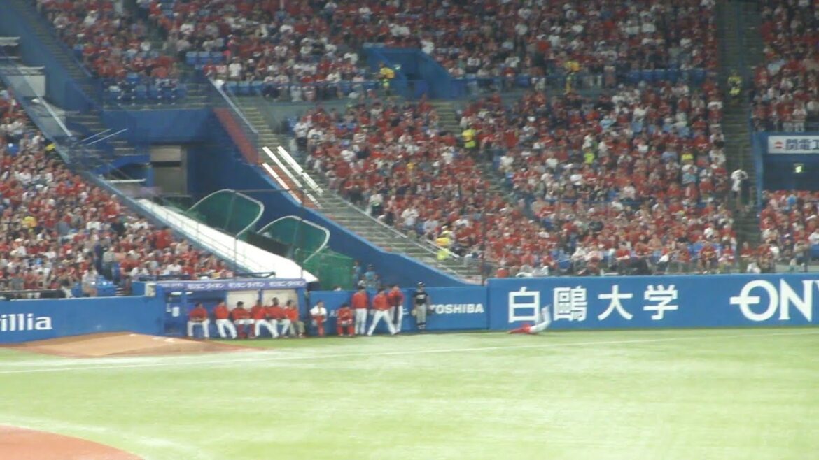 広島 中村奨成 ファインプレー　ヤクルト vs 広島　2024年8月17日(土) 神宮球場