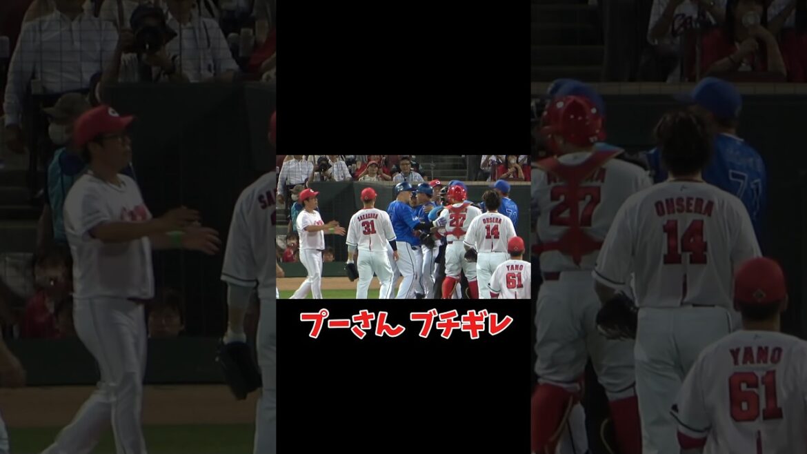 【乱闘寸前】プーさん、大瀬良の死球にブチギレ！ 田中浩康コーチが會澤跳ね退け、三浦監督小池正晃コーチも止めに入る！ 横浜DeNAベイスターズ 2024/8/1 宮﨑敏郎