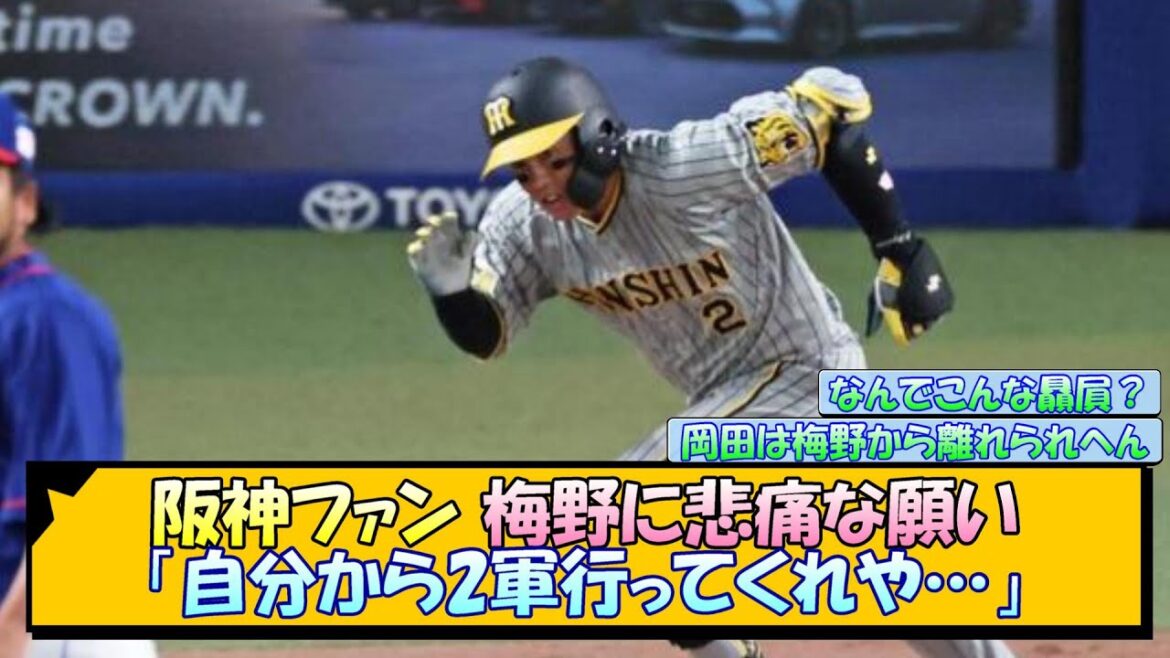 阪神ファン 梅野に悲痛な願い「自分から2軍行ってくれや…」【なんJ/2ch/5ch/ネット 反応 まとめ/阪神タイガース/岡田監督/梅野隆太郎】