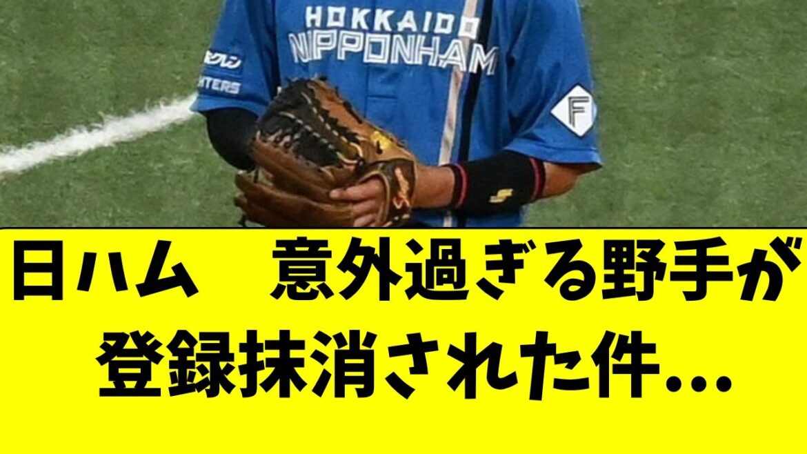 【日ハム】北山と入替で超意外な野手が２軍降格となった件
