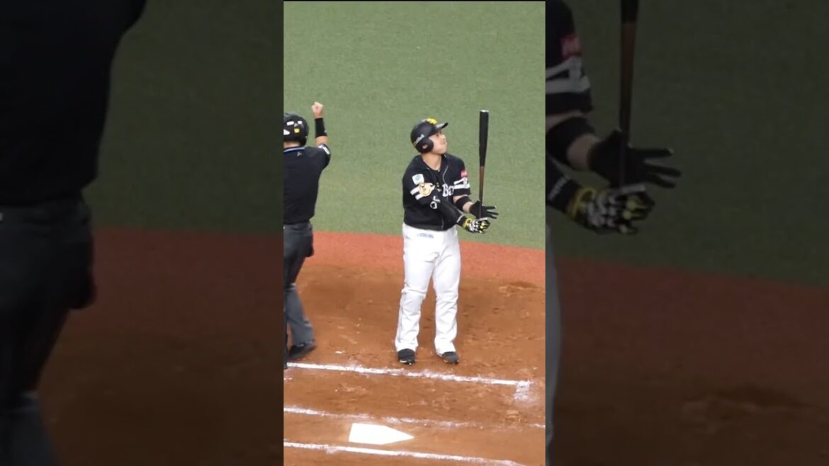 宇田川 優希・近藤 健介　ハーフスィング判定勝負　#オリックスバファローズ #福岡ソフトバンクホークス #shorts