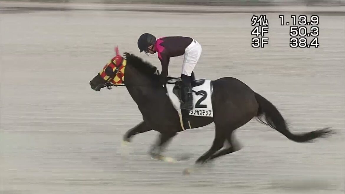 Playback TCK（2024/8/14）