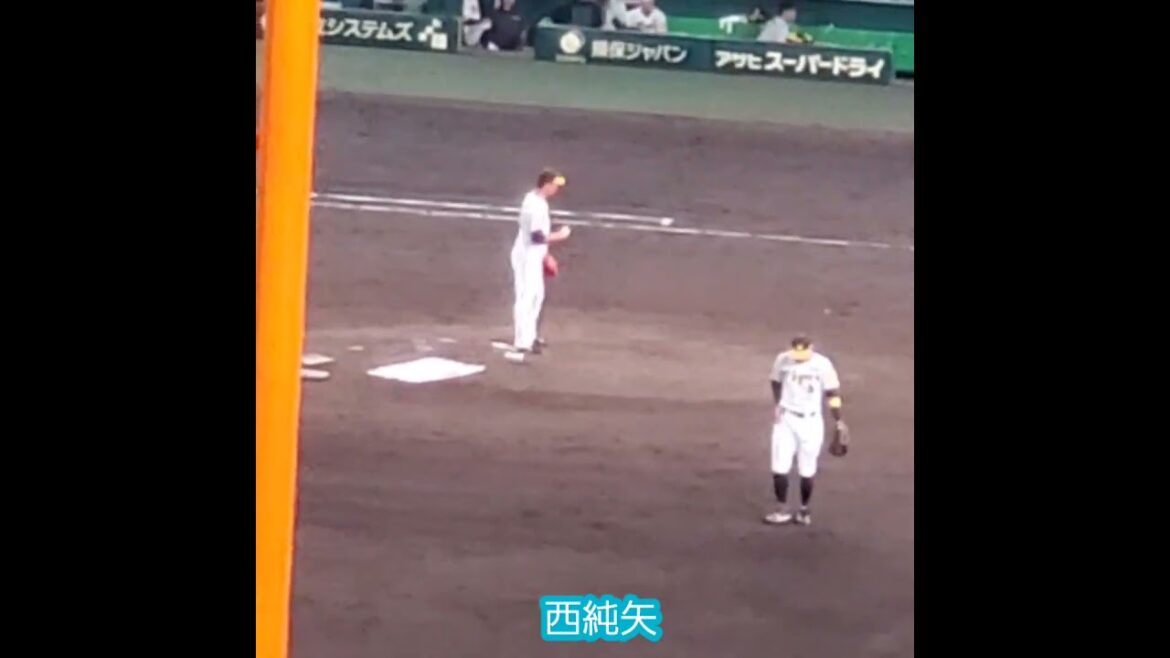 20240707　西純矢の投球練習　阪神ﾀｲｶﾞｰｽ　#shorts@阪神甲子園球場･ﾚﾌﾄ外野