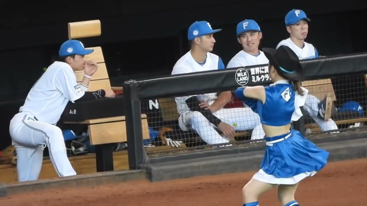 淺間選手がいつもファイターズガールを見てニヤけている🤔笑　ファイターズガール竹市琴美さんのワチュガナドゥダンス！北海道日本ハムファイターズ