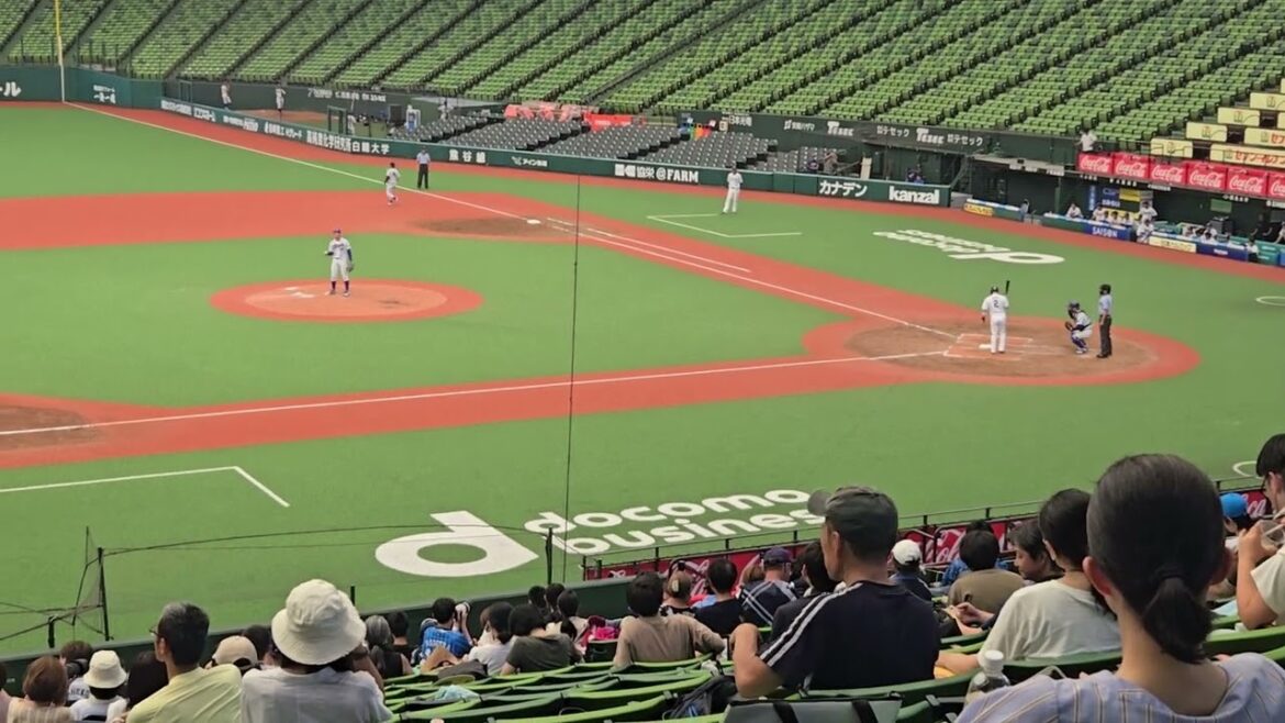 20240810　オープン戦　立正大学　梅田 健太郎　西武　岡田雅利　空三振