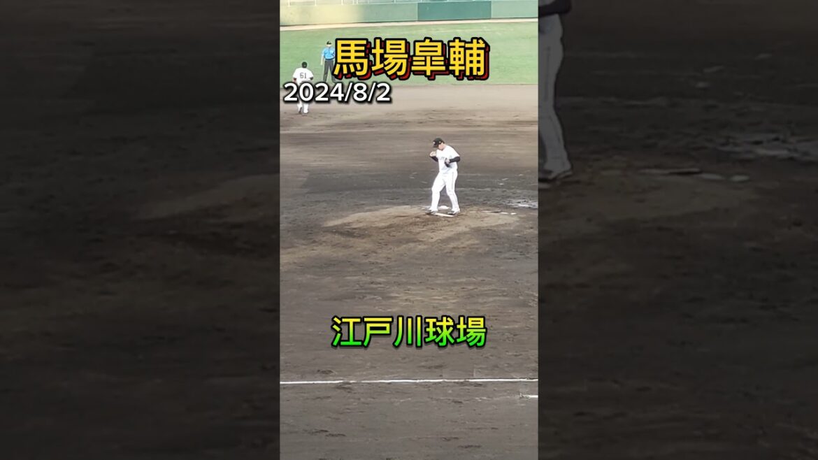 【GIANTS】 #馬場皐輔 背番号36のピッチングフォーム #巨人 #ジャイアンツ #giants #巨人2軍