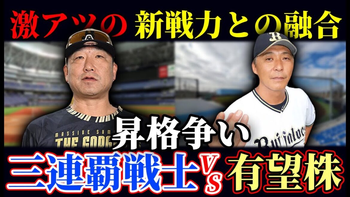 【一軍昇格争い】来田や池田など若手昇格で2位日本ハムをスイープで長期連戦終了!! 中嶋聡はどの選手から招集するのか!?【オリックスバファローズ】