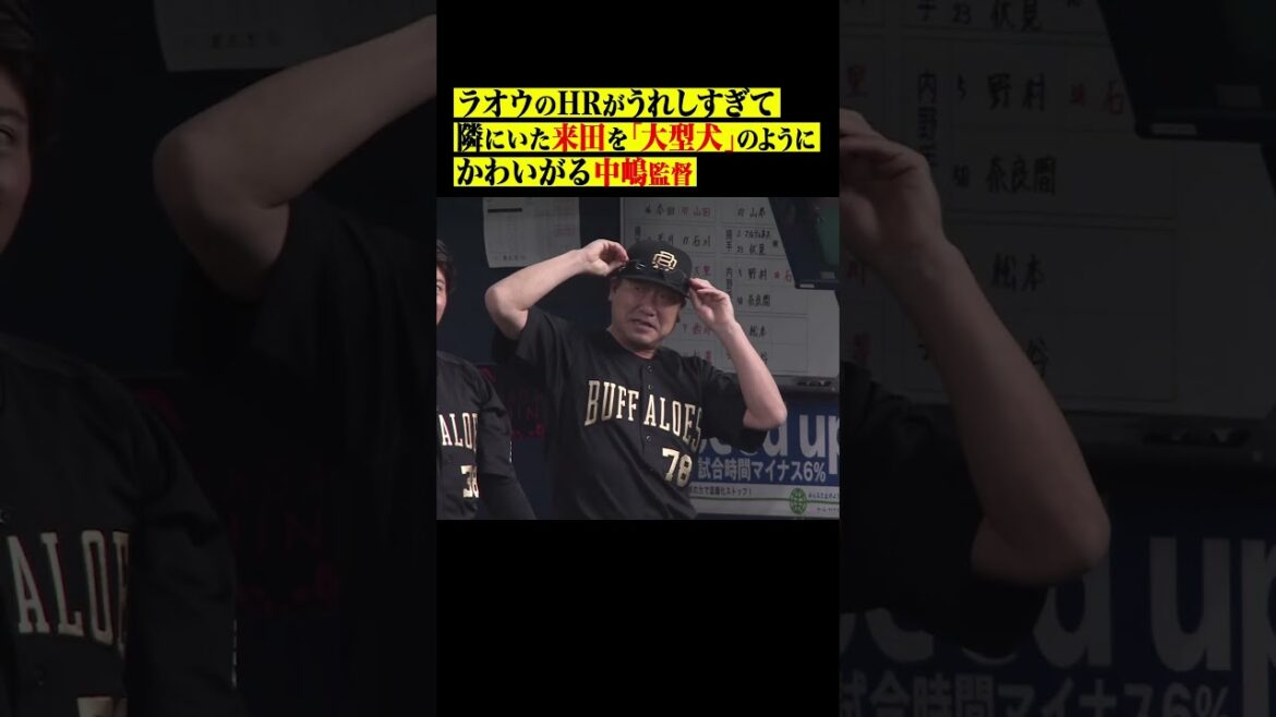 来田を「大型犬」のように可愛がる中嶋監督 #shorts