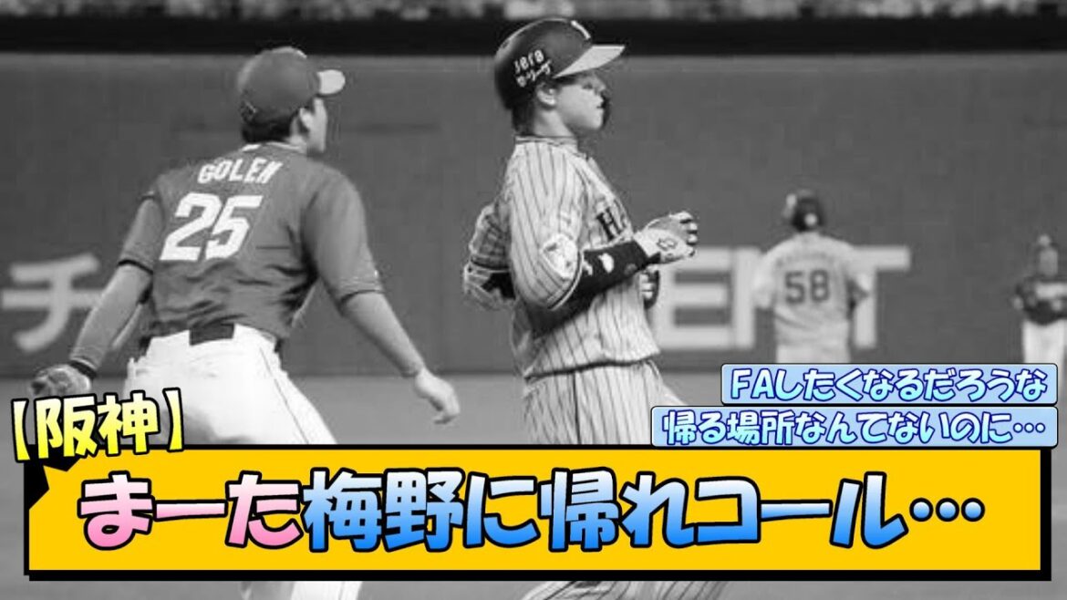 【阪神】まーた梅野に帰れコール…【なんJ/2ch/5ch/ネット 反応 まとめ/阪神タイガース/岡田監督/梅野隆太郎】