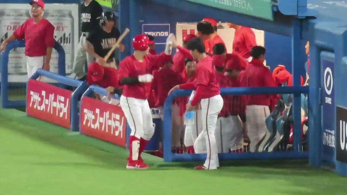 小園海斗ライトへソロホームラン❗💪宮島さん熱唱🎵カープ3回の攻撃👊😀 対ヤクルトスワローズ 2024.8.18 小園海斗ライトへソロホームラン❗💪宮島さん熱唱🎵カープ3回の攻撃👊😀 対ヤクルトスワローズ 2024.8.18