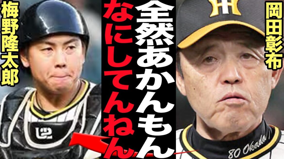 岡田彰布が梅野隆太郎に大激怒…”愛人枠”から外された阪神正捕手の現在に絶句…!!阪神日本一にも貢献した捕手がチームの足枷状態、お荷物に成り下がった梅野が構想外の実態が…【プロ野球】 岡田彰布が梅野隆太郎に大激怒…”愛人枠”から外された阪神正捕手の現在に絶句…!!阪神日本一にも貢献した捕手がチームの足枷状態、お荷物に成り下がった梅野が構想外の実態が…【プロ野球】