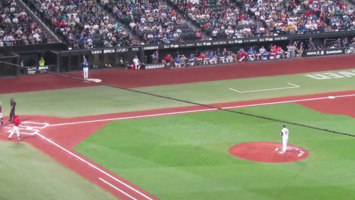 オールスター 代打 床田寛樹がヒットを打って喜ぶセ・リーグベンチの姿 2024年7月24日 マイナビオールスターゲーム エスコンフィールド