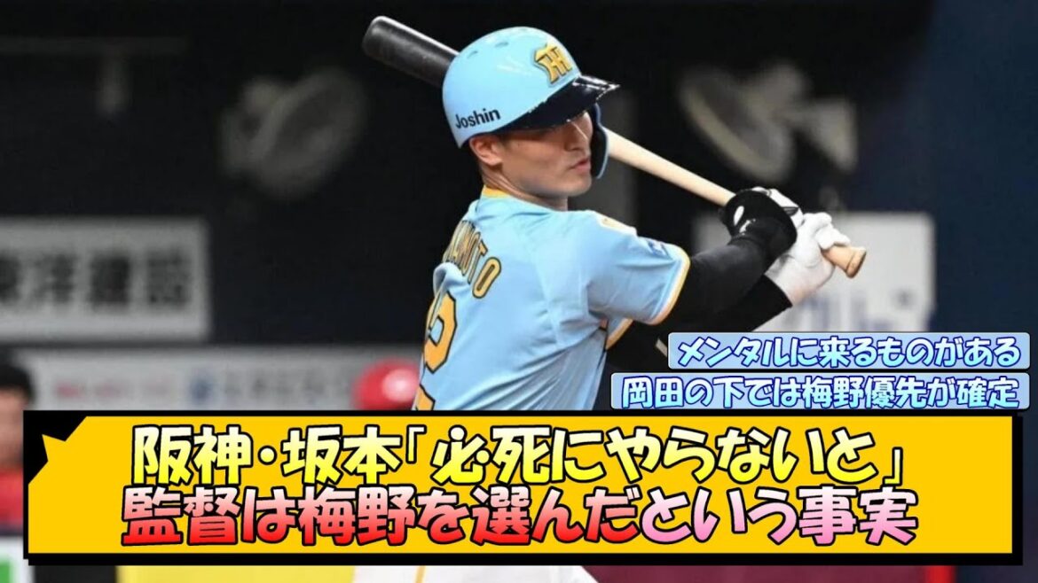 阪神・坂本「必死にやらないと」監督は梅野を選んだという事実【なんJ/2ch/5ch/ネット 反応 まとめ/阪神タイガース/岡田監督】