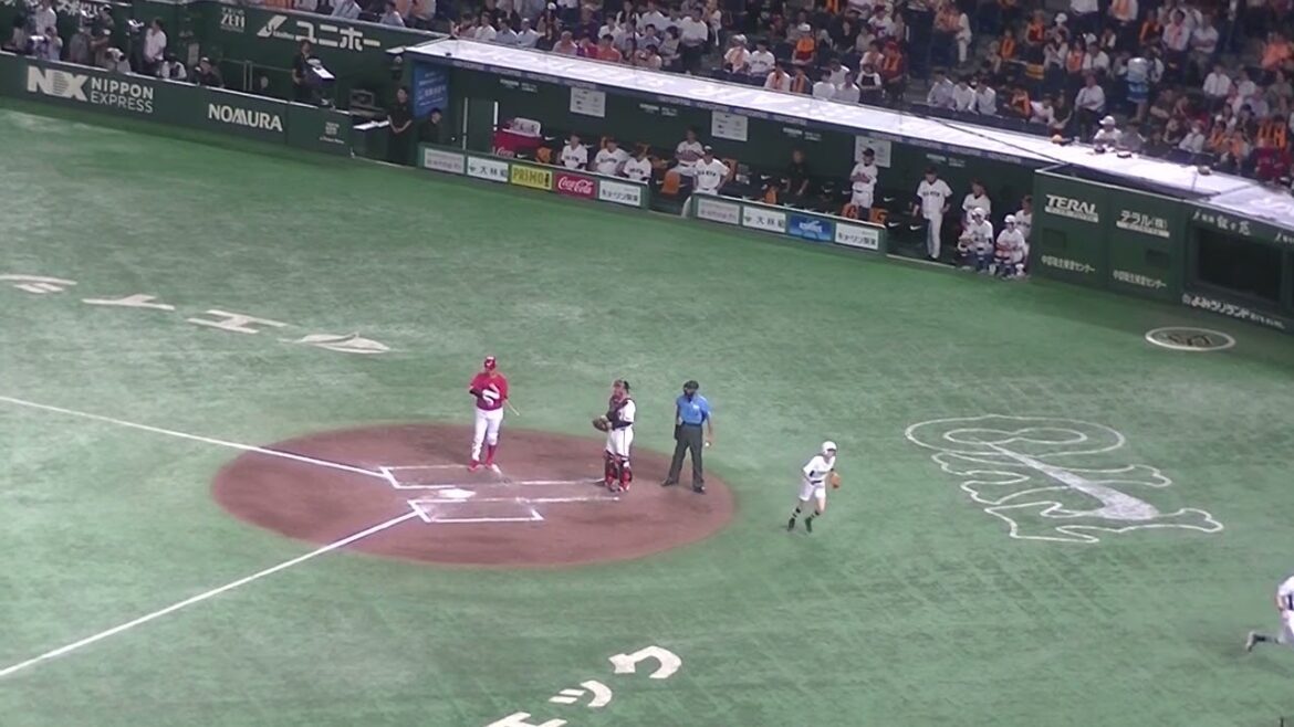 小園海斗 セカンドゴロ 吉川尚輝〜泉口友汰でゲッツー【読売ジャイアンツ対 広島東洋カープ  2024年8月6日】