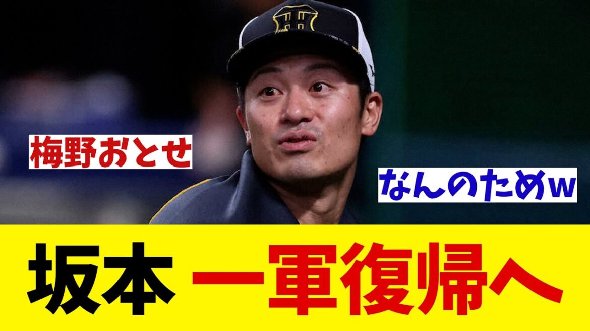 阪神・坂本誠志郎　一軍復帰へ！！！【野球情報】【2ch 5ch】【なんJ なんG反応】【野球スレ】