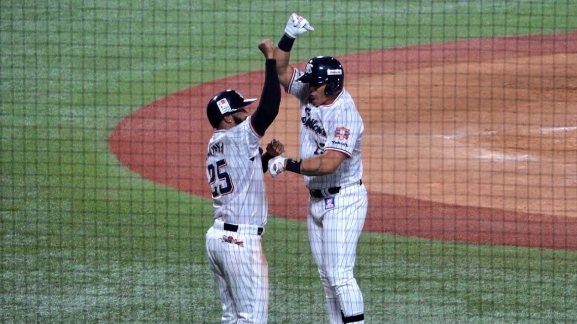 オスナの勝ち越し弾！打った瞬間に銅像建てたくなる完璧なホームラン！第14号3ラン！東京ヤクルトスワローズ 2024/08/14