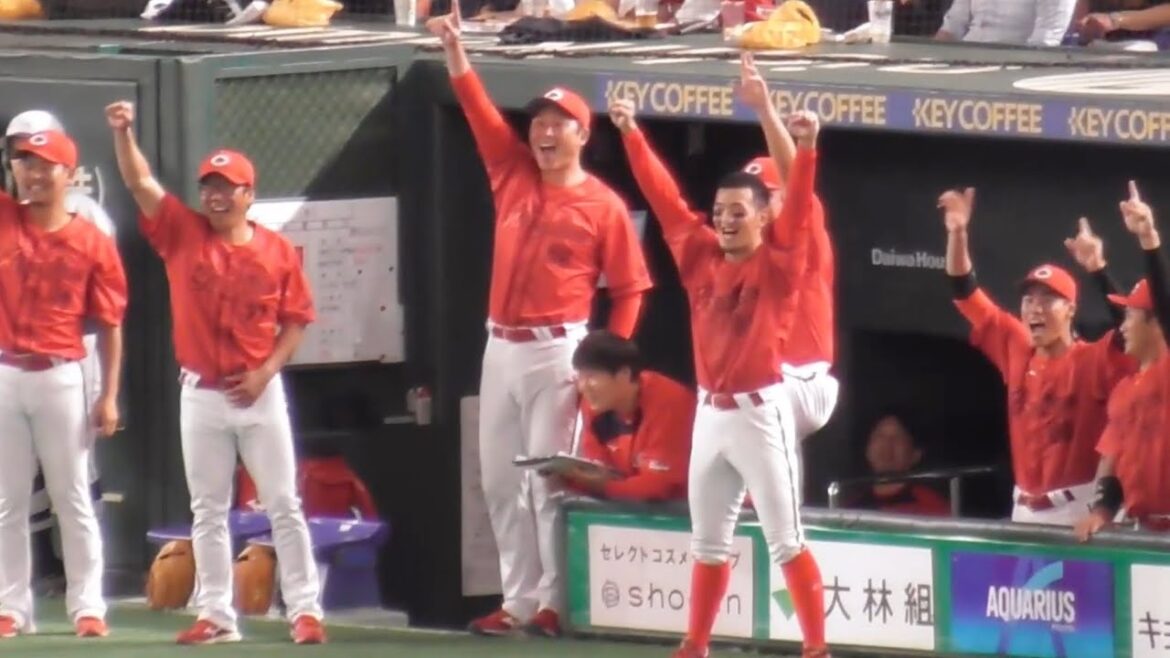 カープベンチの雰囲気最高！4回、森下の内野安打から再び末包が走者一掃となるタイムリーツーベース&坂倉もタイムリーで一挙5得点攻撃ハイライト！2024年8月20日