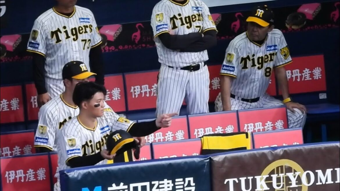 【天然炸裂】ヘルメット忘れてますよ？！才木の身代わりでネクストサークルにいた熊谷を代打と勘違いしてヘルメットを渡そうとする森下翔太 2024.8.20