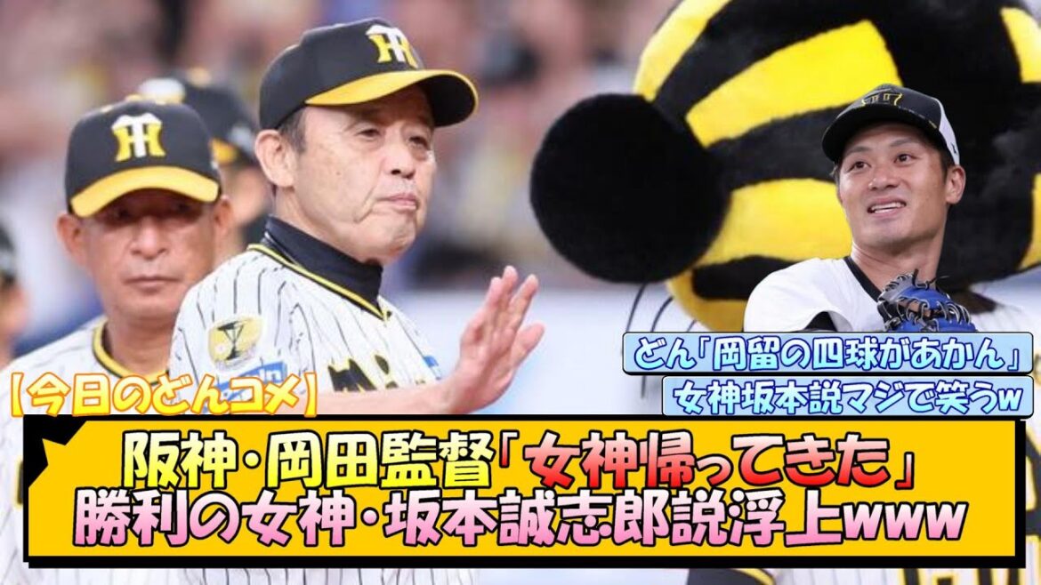 【今日のどんコメ】阪神・岡田監督「女神帰ってきた」勝利の女神・坂本誠志郎説浮上www【なんJ/2ch/5ch/ネット 反応 まとめ/阪神タイガース/岡田監督/才木浩人/岩崎優】