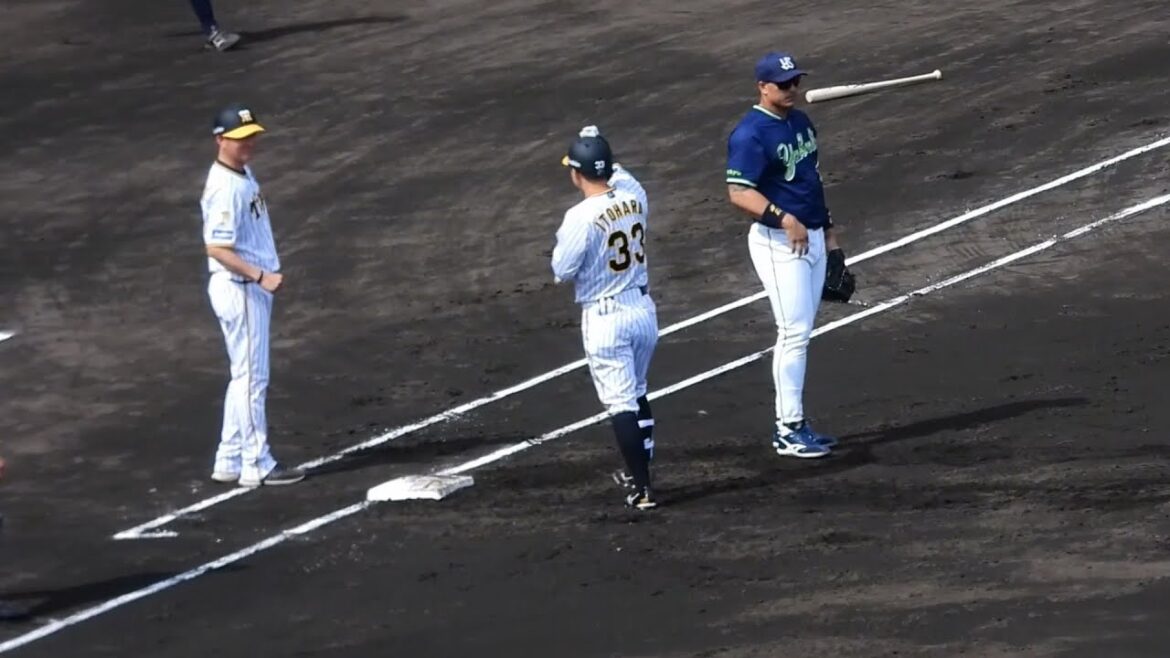 【スタメンで事起こし】今季初スタメンの糸原健斗が先制タイムリーヒット！ベンチの岡田監督もニッコニコ！ 2024.4.28