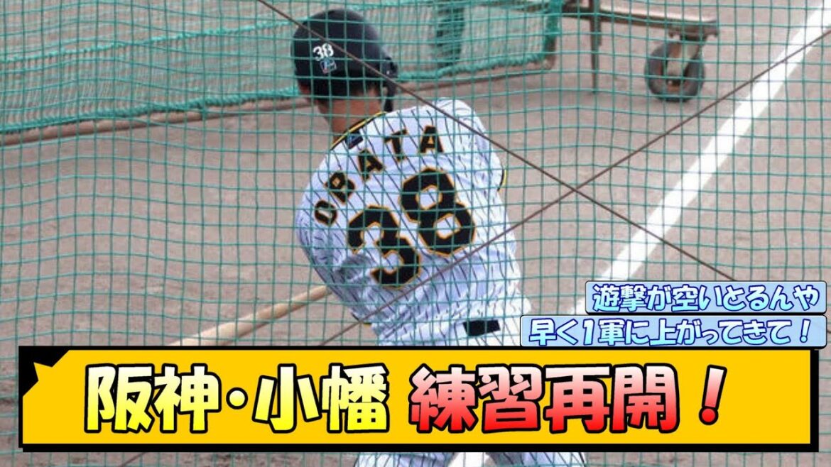 阪神・小幡 練習再開！【なんJ/2ch/5ch/ネット 反応 まとめ/阪神タイガース/岡田監督/小幡竜平/木浪聖也】