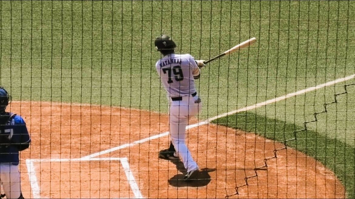 ソフトバンク 渡邉陸 登場曲～Beautiful／Superfly 2024.8.15タマスタ筑後