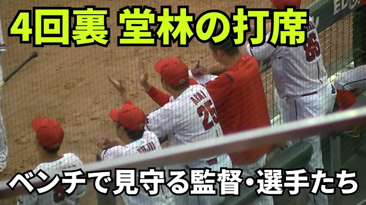 【現地撮影映像】堂林の打席。ベンチで見守る監督・コーチ・選手たち。堂林は見事にレフト前ヒットで出塁。 　2024年8月3日 vs 中日