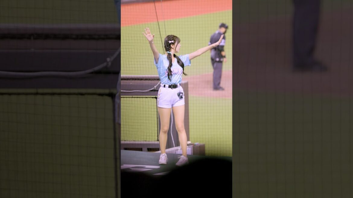 Wing Stars 安芝儇 應援 - 王柏融｜大巨蛋台鋼雄鷹主場日 2024-08-11