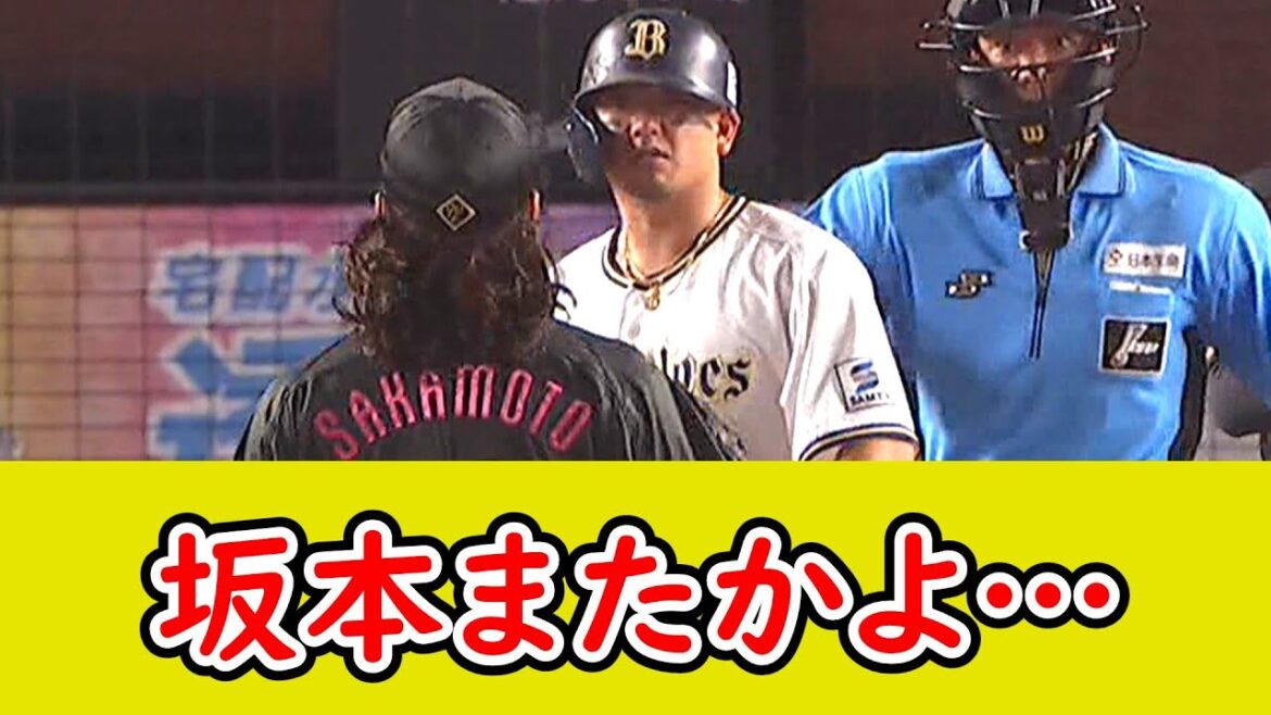 ロッテ・坂本光士郎、森友哉に死球を当ててオラつく