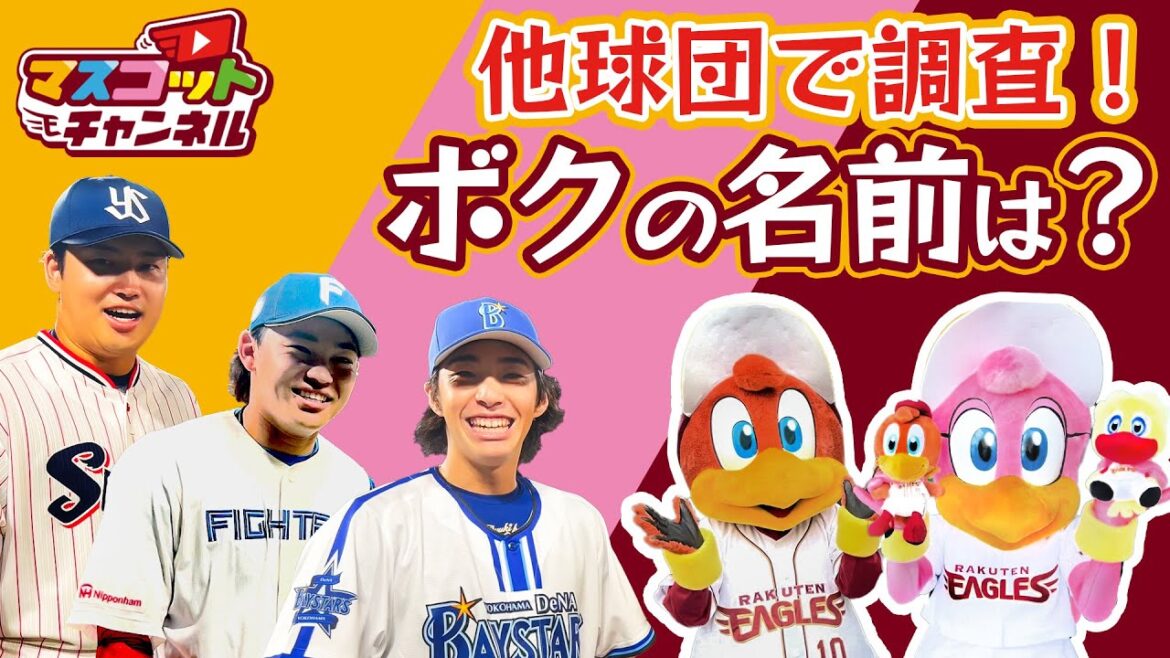 【ついに他球団へ！】マスコットの知名度調査！～有名になりたい鳥たちの挑戦～