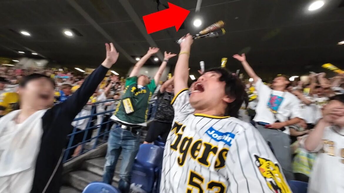 サトテルのホームランボール(10号)飛んできた！ヤクルトに連勝！！