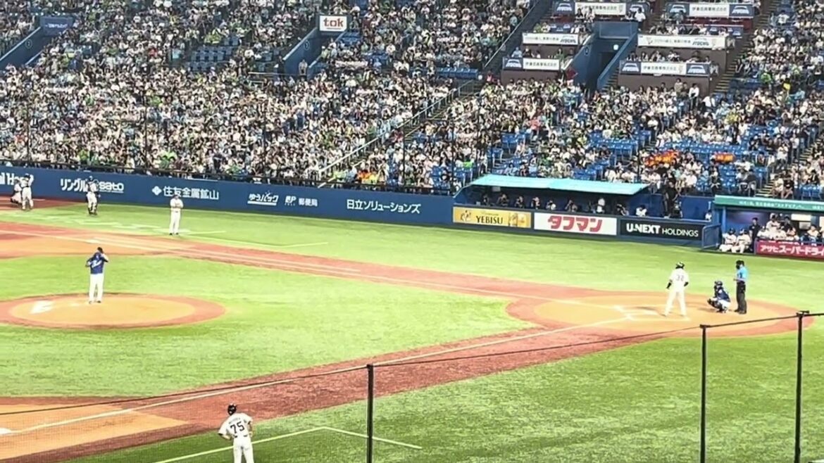 2024.8.14松本直樹応援歌【明治神宮球場】