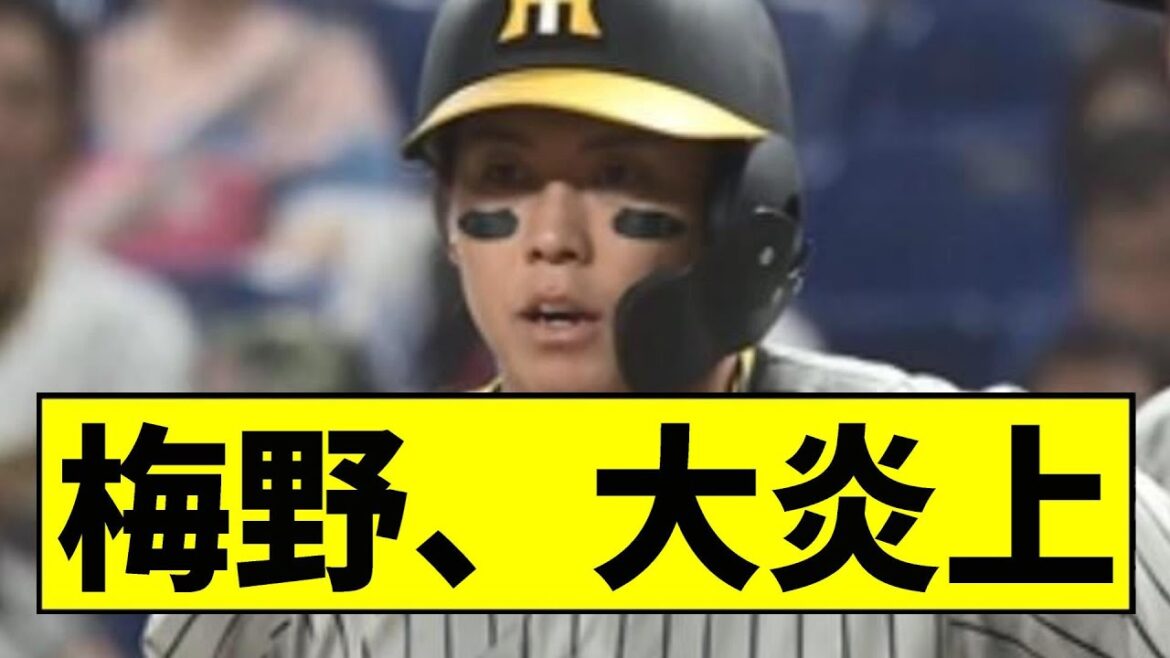 【阪神】梅野が大炎上ｗｗｗｗｗｗｗｗｗｗｗ【2chスレ】