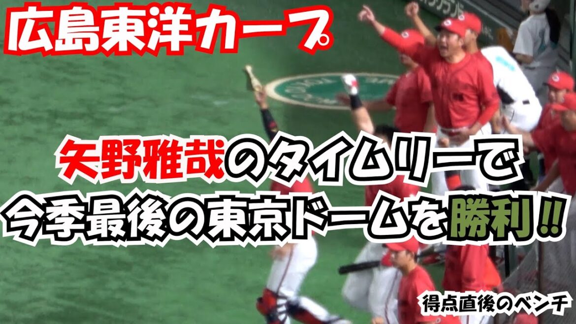 【広島東洋カープ】矢野のタイムリーで今季最後の東京ドームを勝利‼ 2位巨人へ2ゲーム差をつける‼ 現地映像 得点直後のベンチ 【広島東洋カープ】矢野のタイムリーで今季最後の東京ドームを勝利‼ 2位巨人へ2ゲーム差をつける‼ 現地映像 得点直後のベンチ