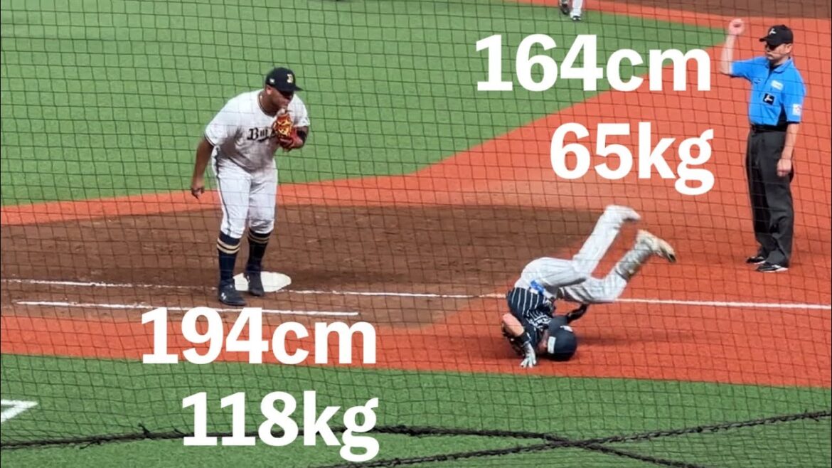 セデーニョ(194cm 118kg)と滝澤夏央(164cm 65kg)が激突⁉︎ 吹っ飛ぶ夏央と心配するセデーニョ(いい人) 【西武vsオリックス】2024/8/22 ライオンズフェスティバルズ