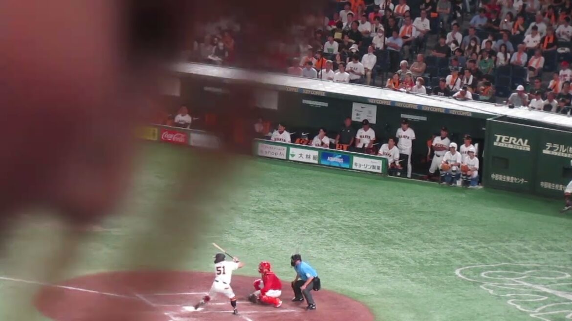 浅野翔吾の三塁打タイムリーに喜ぶ巨人ベンチ（ 読売ジャイアンツ 対 広島カープ 2024年8月20日）