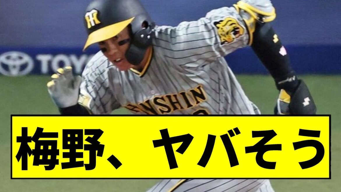 【阪神】梅野、ヤバそう...【2chスレ】